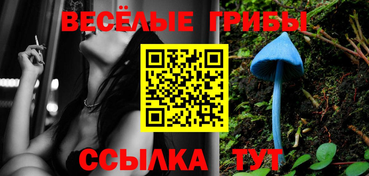 Галлюциногенные грибы прущие грибы Димитровград