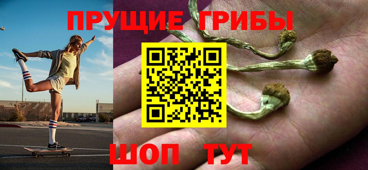Галлюциногенные грибы Psilocybine cubensis  Галлюциногенные грибы мицелий  Вход с VPN  Димитровград 